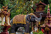 Chiang Mai - The Wat Lam Chang, elephant next to the Wihan.